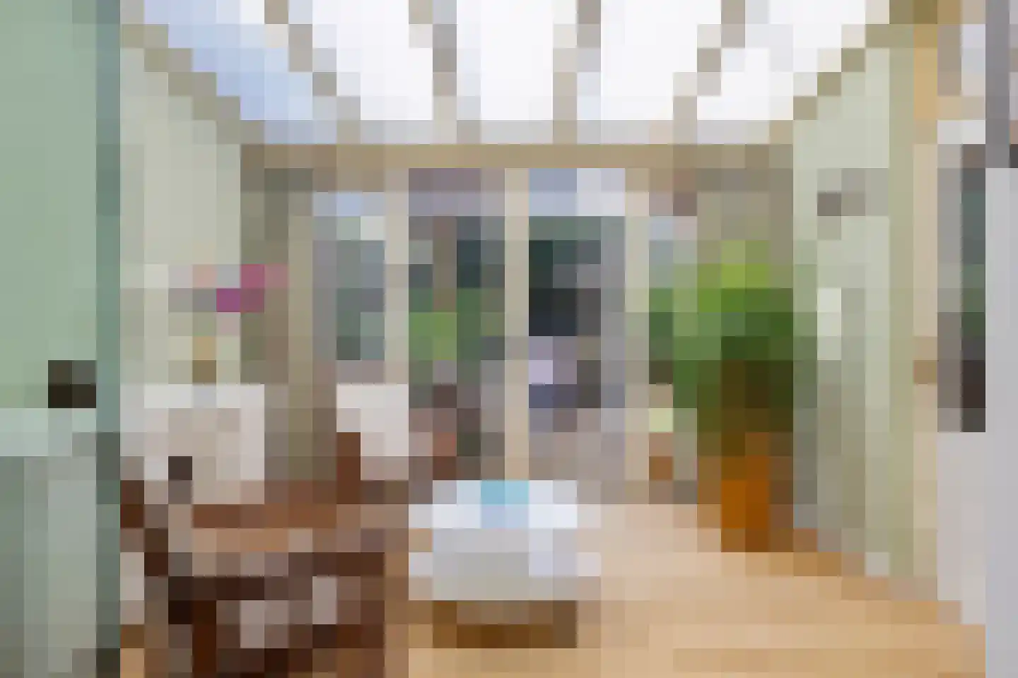 Irenestraat 19 Heeswijk-Dinther thumbnail 20