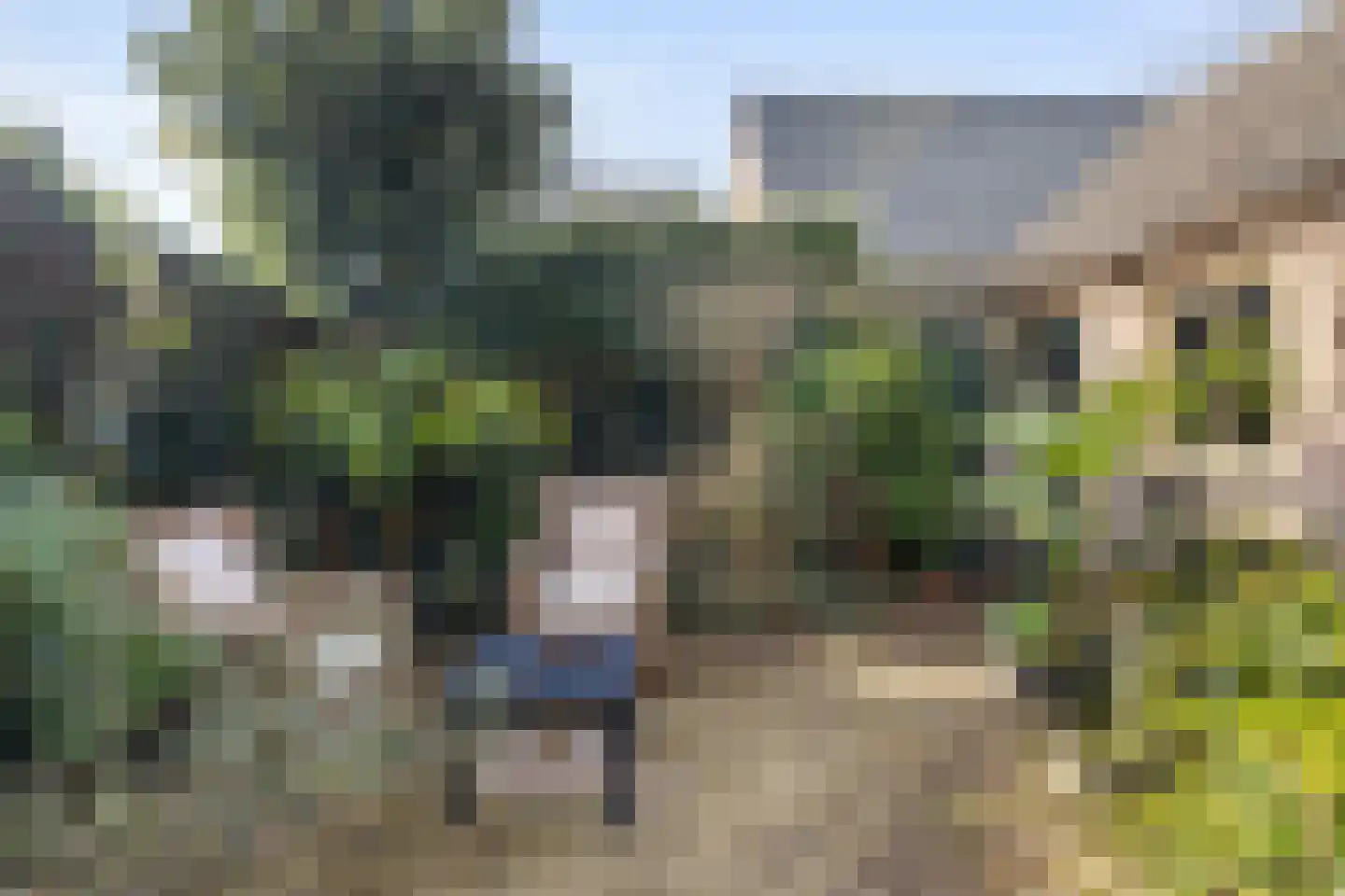 Irenestraat 19 Heeswijk-Dinther thumbnail 30