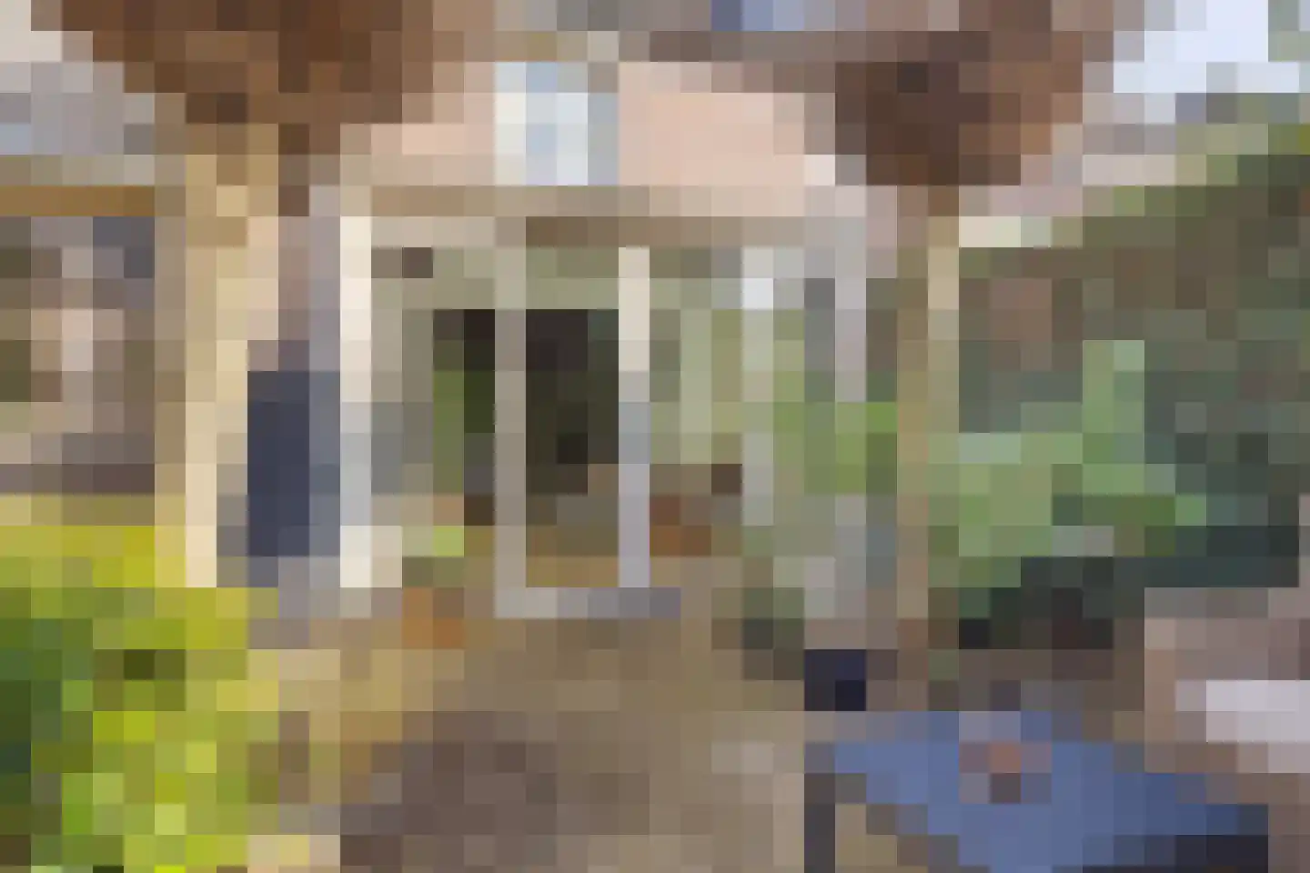Irenestraat 19 Heeswijk-Dinther thumbnail 31