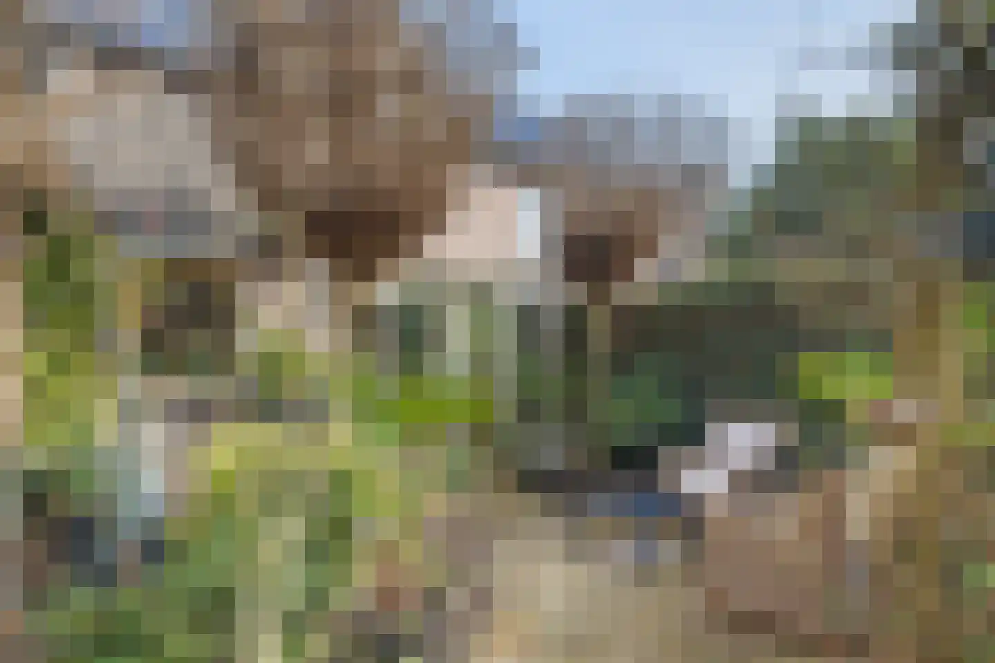 Irenestraat 19 Heeswijk-Dinther thumbnail 32