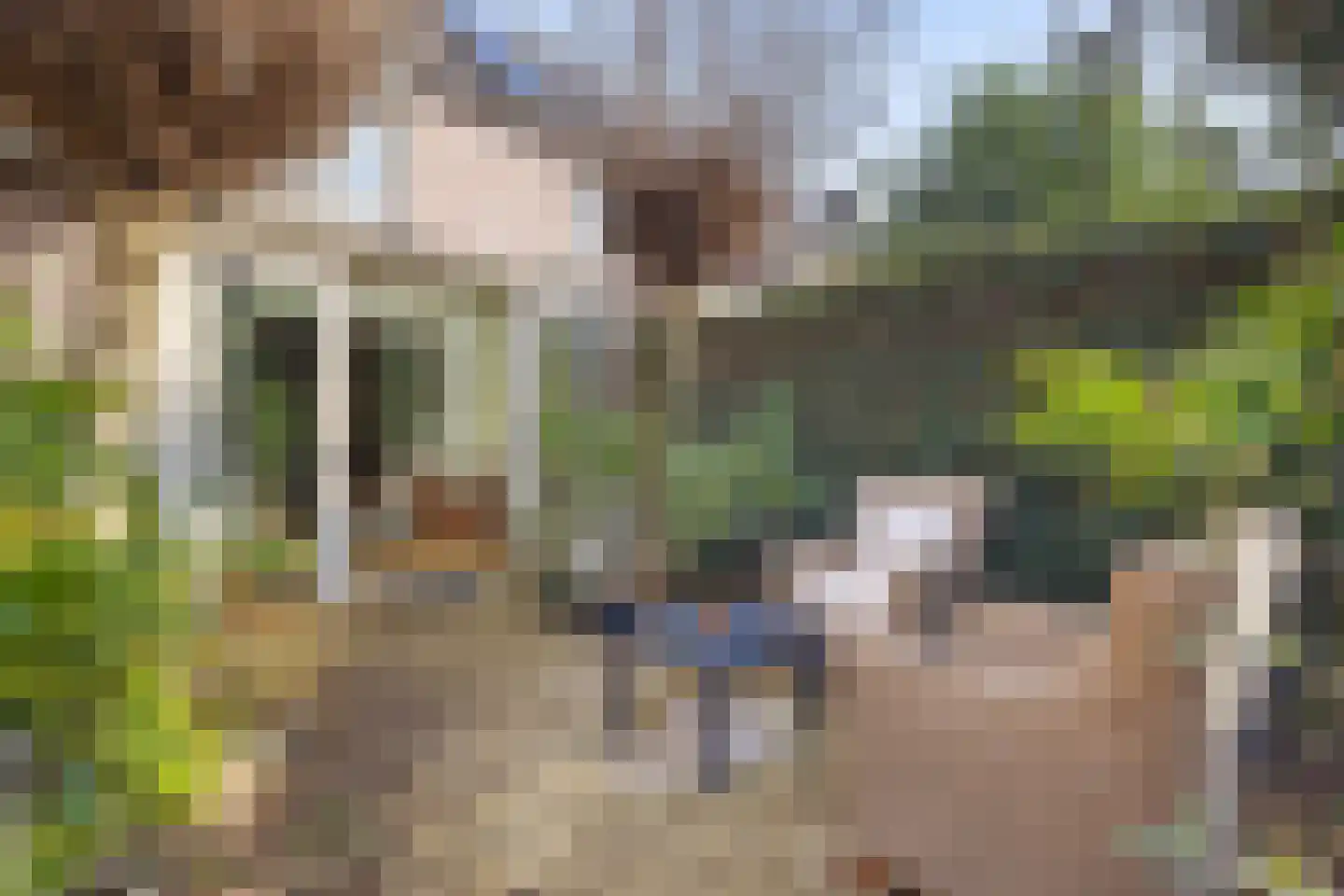 Irenestraat 19 Heeswijk-Dinther thumbnail 33