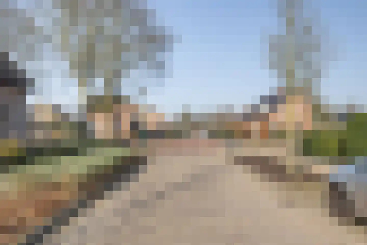Irenestraat 19 Heeswijk-Dinther thumbnail 36