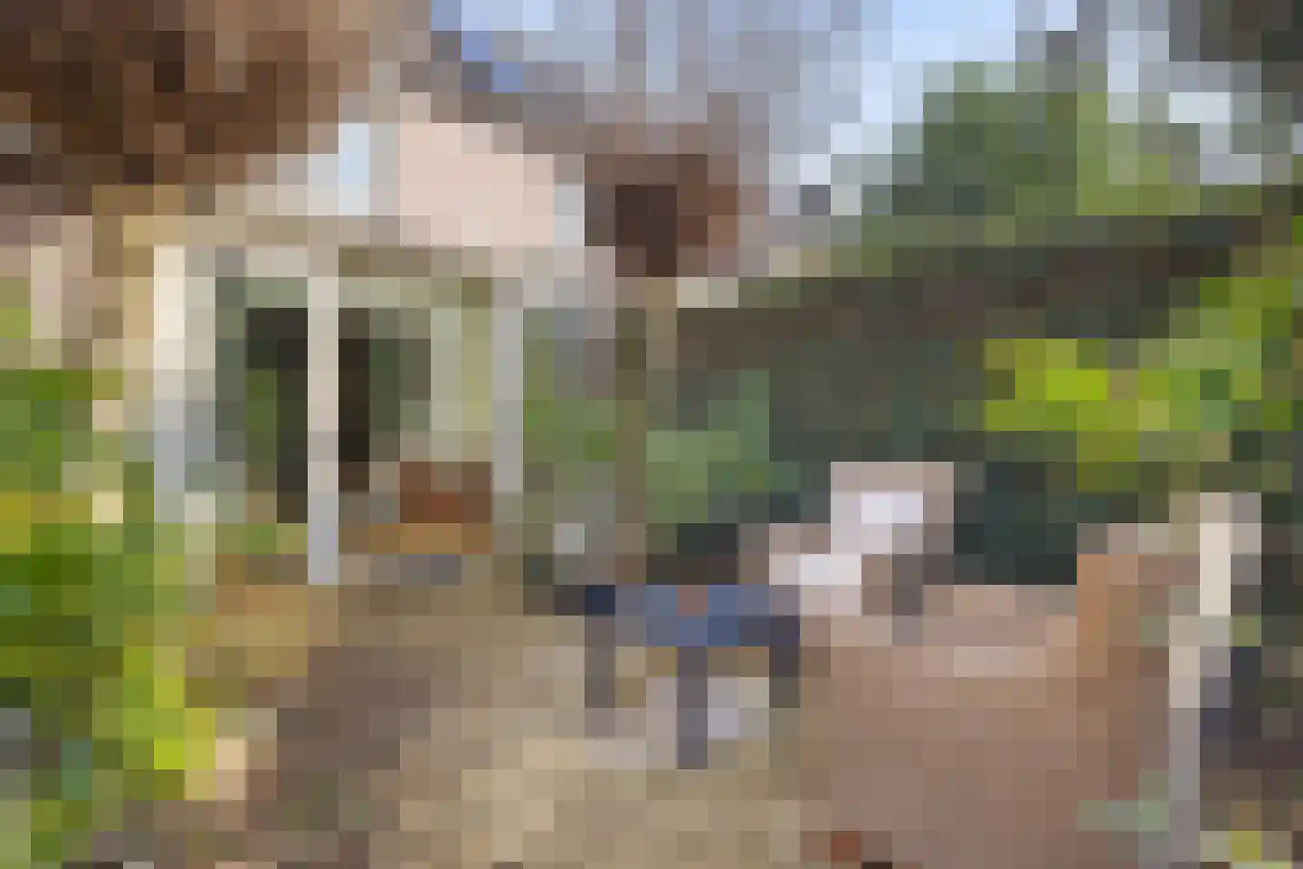 Irenestraat 19 Heeswijk-Dinther thumbnail 4