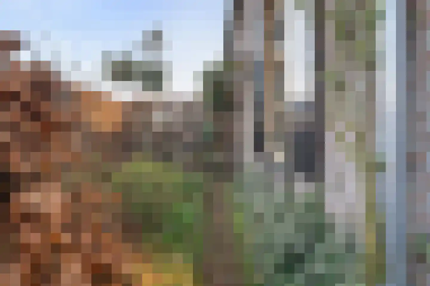 Irenestraat 19 Heeswijk-Dinther thumbnail 6