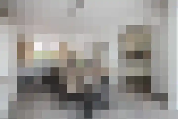 Irenestraat 19 Terneuzen thumbnail 10