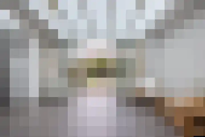 Irenestraat 19 Terneuzen thumbnail 12