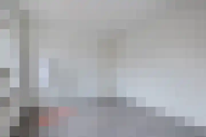 Irenestraat 19 Terneuzen thumbnail 23