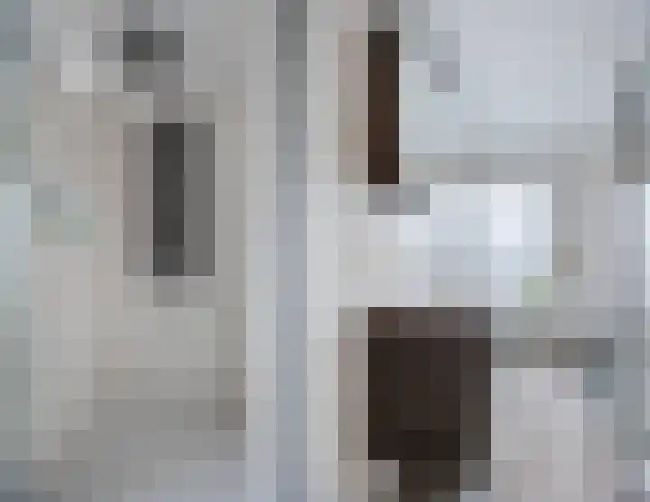 Irenestraat 19 Terneuzen thumbnail 27
