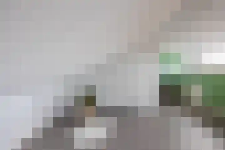 Irenestraat 19 Terneuzen thumbnail 30