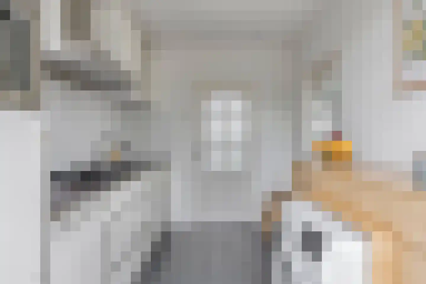 Irenestraat 20 Berlicum thumbnail 13