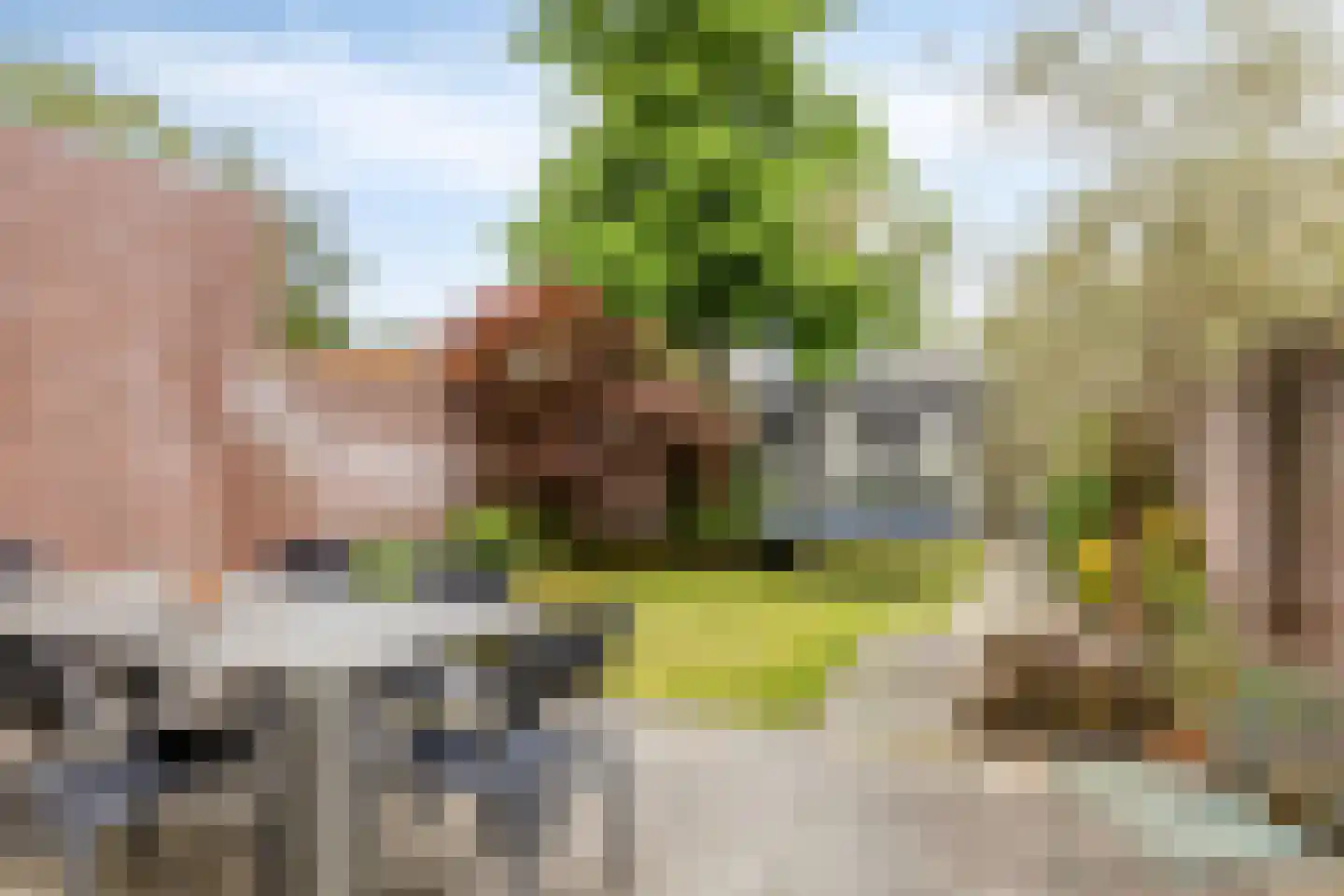 Irenestraat 20 Berlicum thumbnail 27