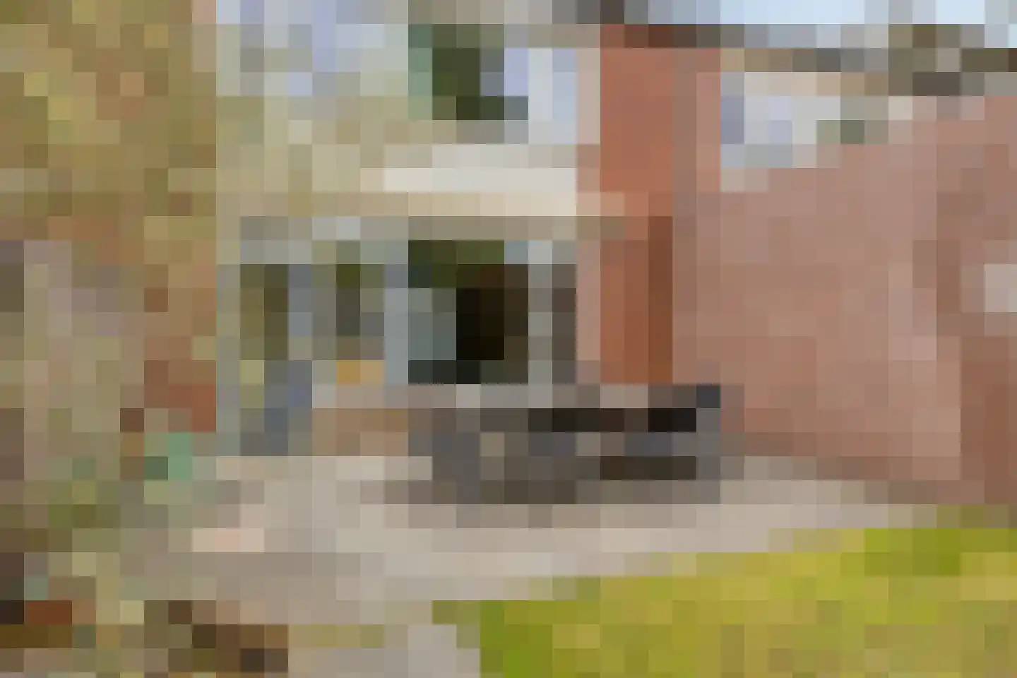 Irenestraat 20 Berlicum thumbnail 28