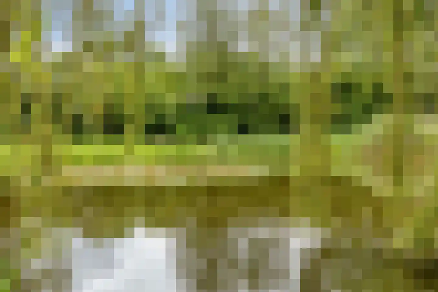Irenestraat 20 Berlicum thumbnail 38