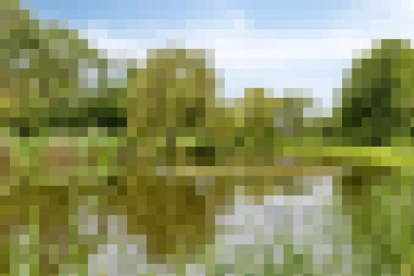 Irenestraat 20 Berlicum thumbnail 39