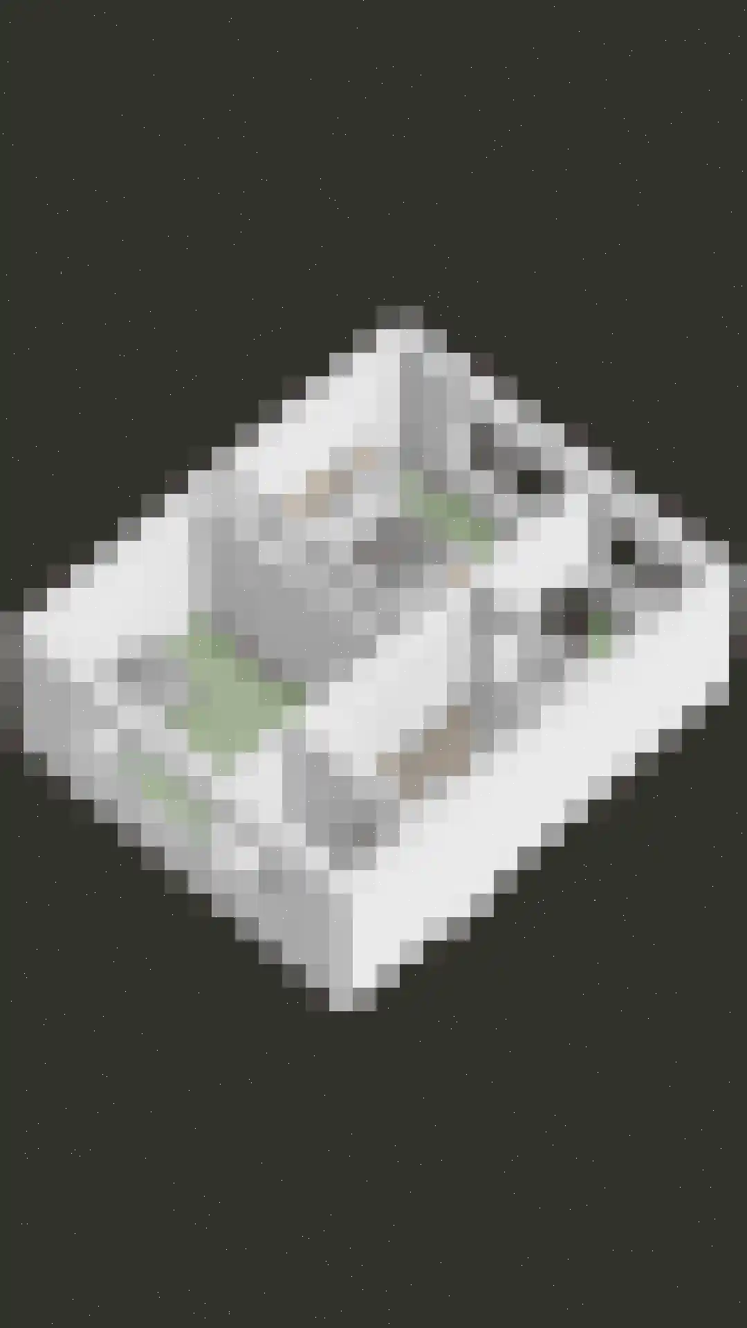 Irenestraat 20 Berlicum thumbnail 46
