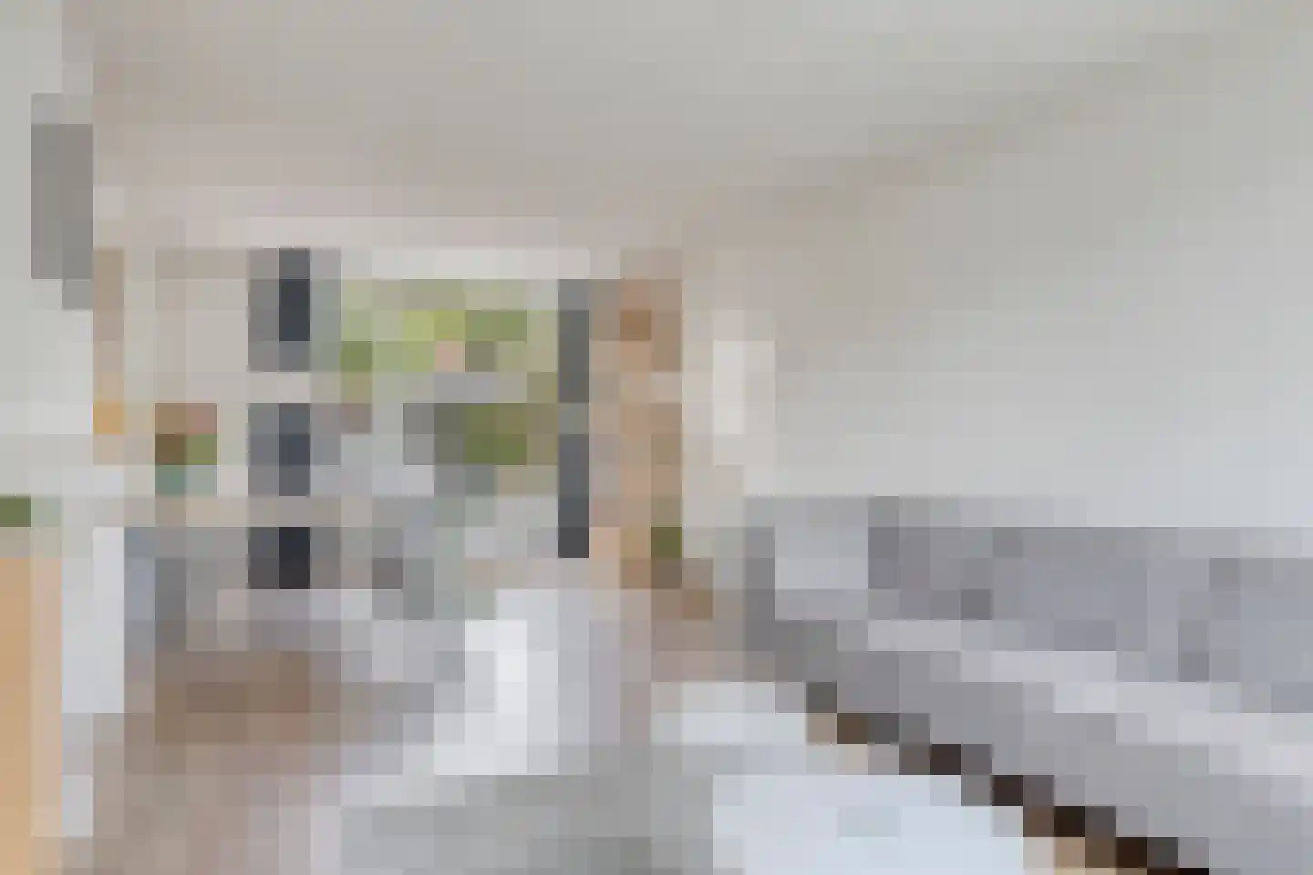 Irenestraat 20 Berlicum thumbnail 7
