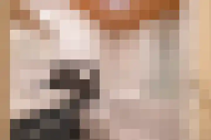 Irenestraat 20 Cadier en Keer thumbnail 13
