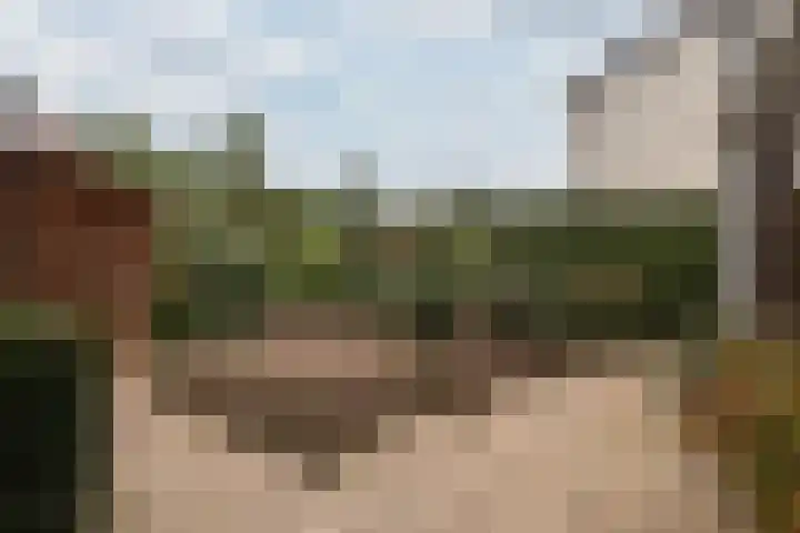 Irenestraat 20 Cadier en Keer thumbnail 14
