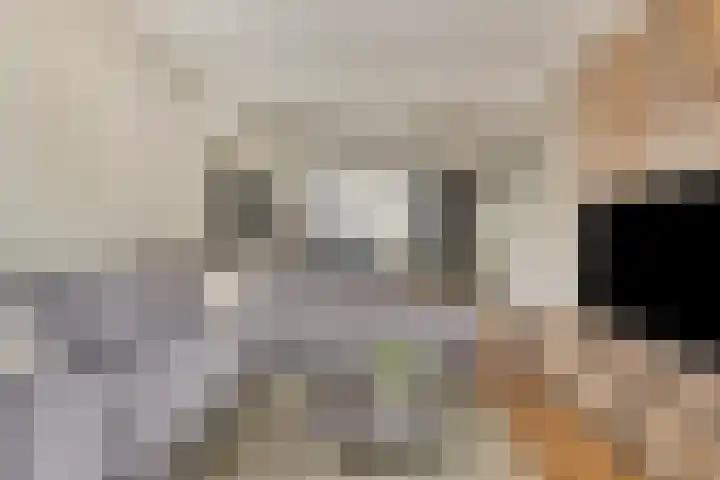 Irenestraat 20 Goirle thumbnail 10