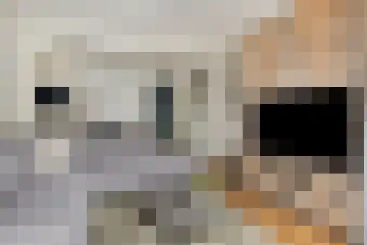 Irenestraat 20 Goirle thumbnail 11