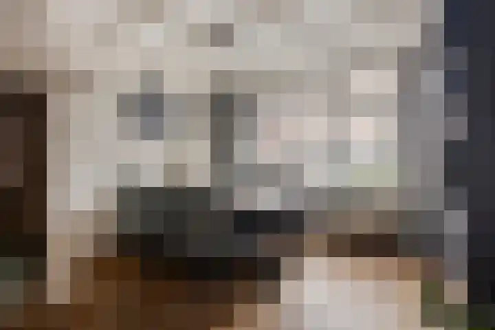 Irenestraat 20 Goirle thumbnail 13