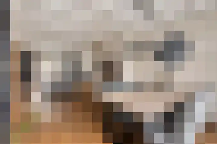 Irenestraat 20 Goirle thumbnail 14