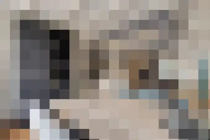 Irenestraat 20 Goirle thumbnail 15
