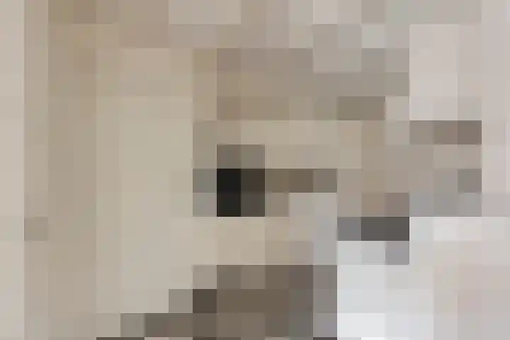 Irenestraat 20 Goirle thumbnail 17
