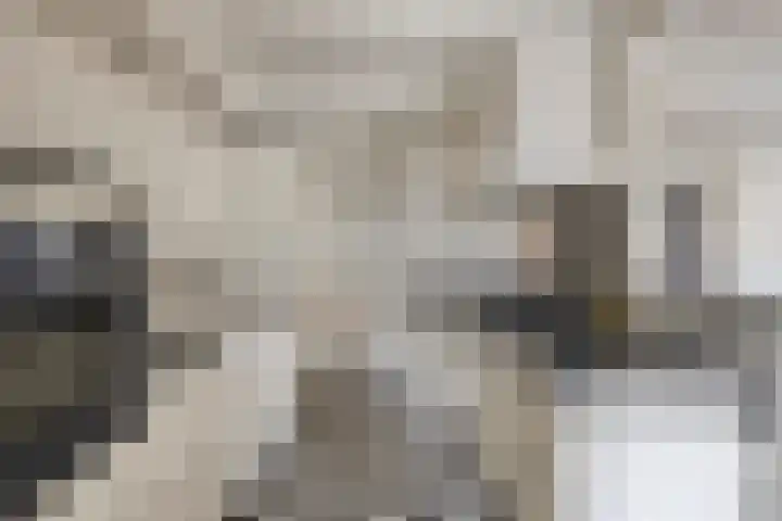 Irenestraat 20 Goirle thumbnail 18