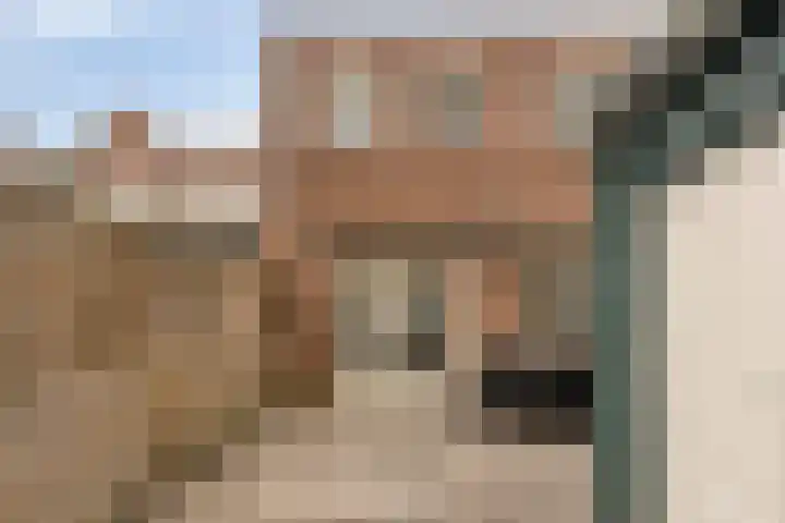 Irenestraat 20 Goirle thumbnail 38