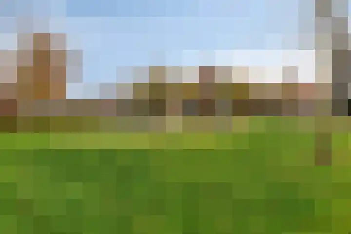 Irenestraat 20 Goirle thumbnail 40