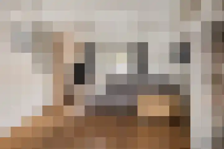 Irenestraat 20 Goirle thumbnail 9