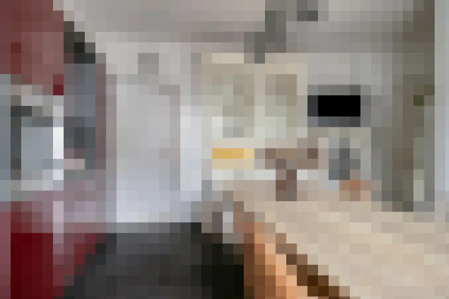 Irenestraat 20 Kloosterzande thumbnail 16