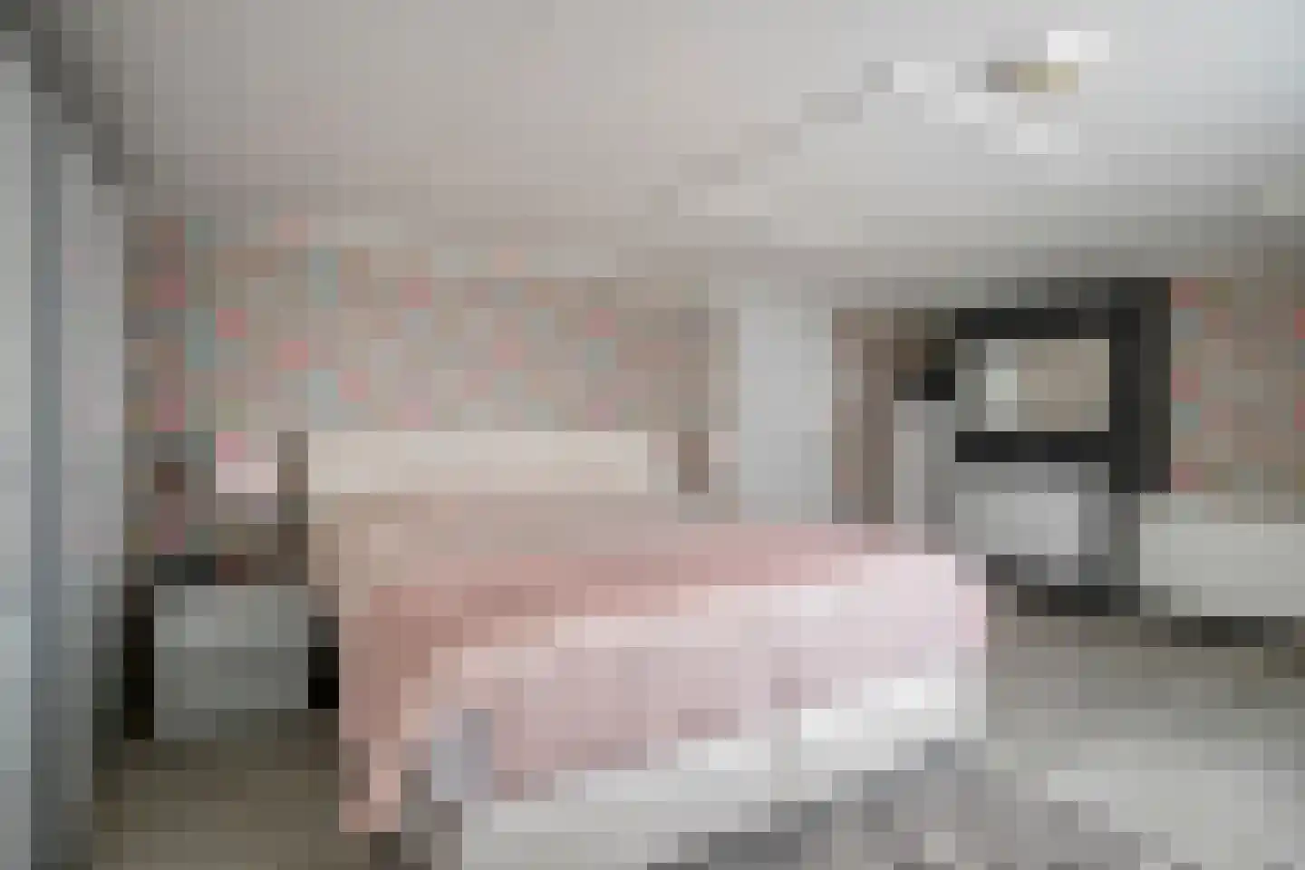 Irenestraat 20 Kloosterzande thumbnail 22