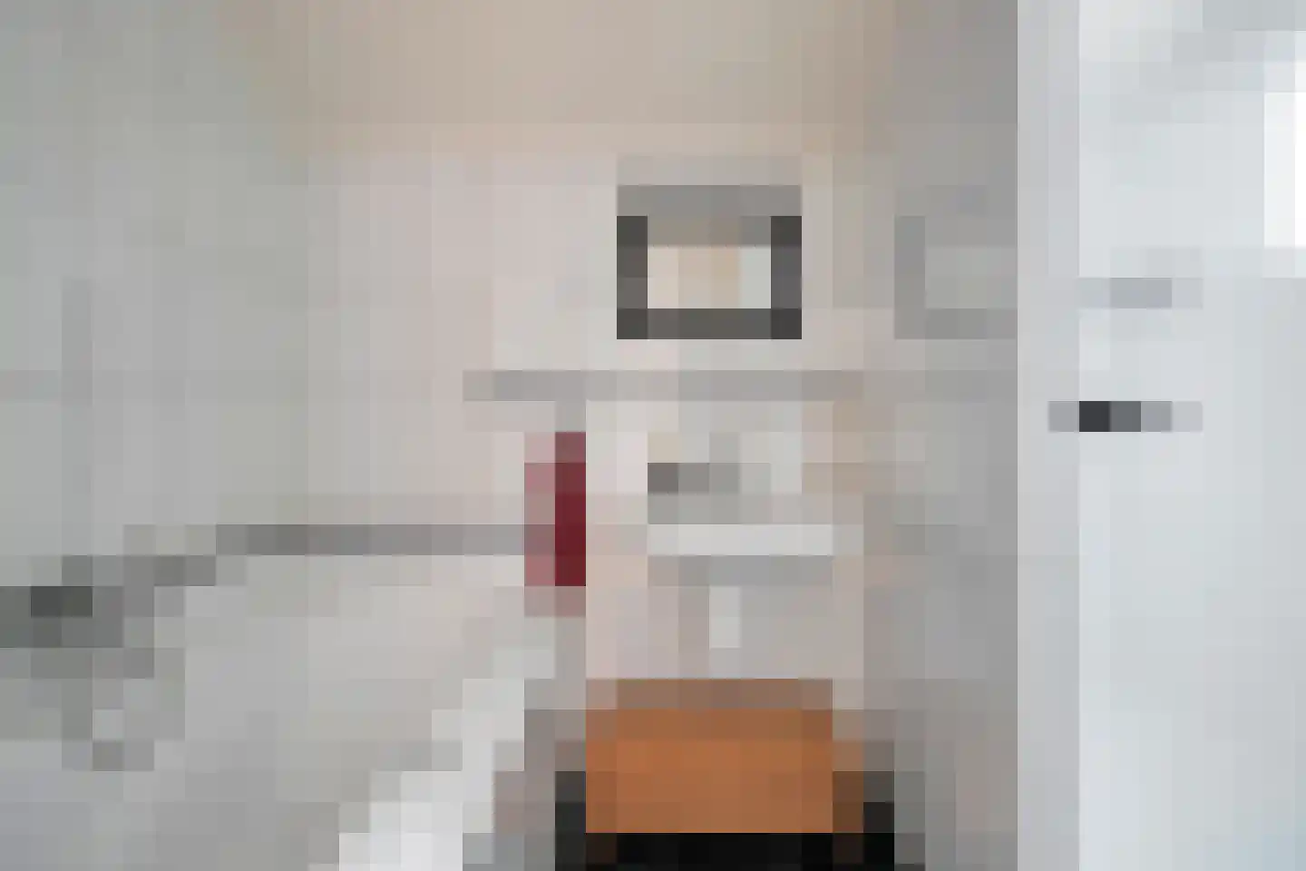 Irenestraat 20 Kloosterzande thumbnail 27