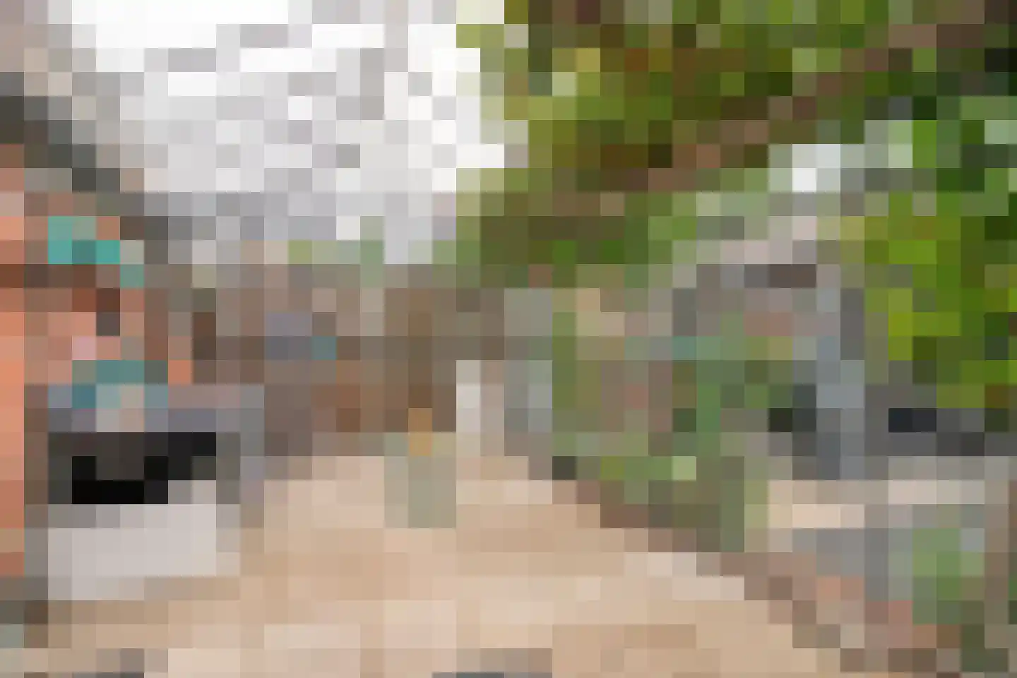 Irenestraat 20 Kloosterzande thumbnail 35