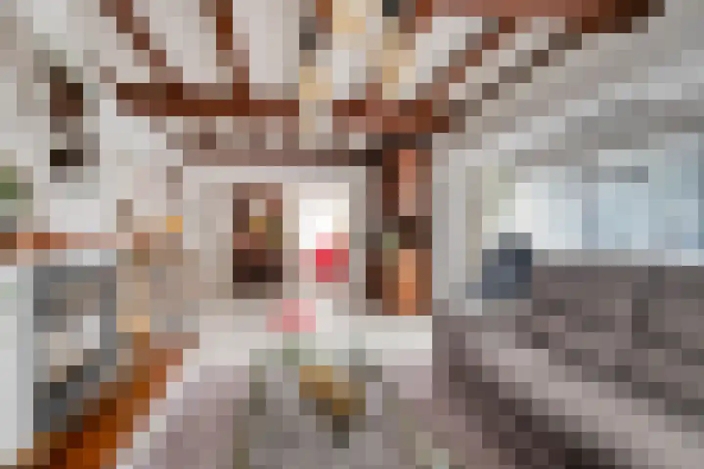 Irenestraat 20 Kloosterzande thumbnail 8