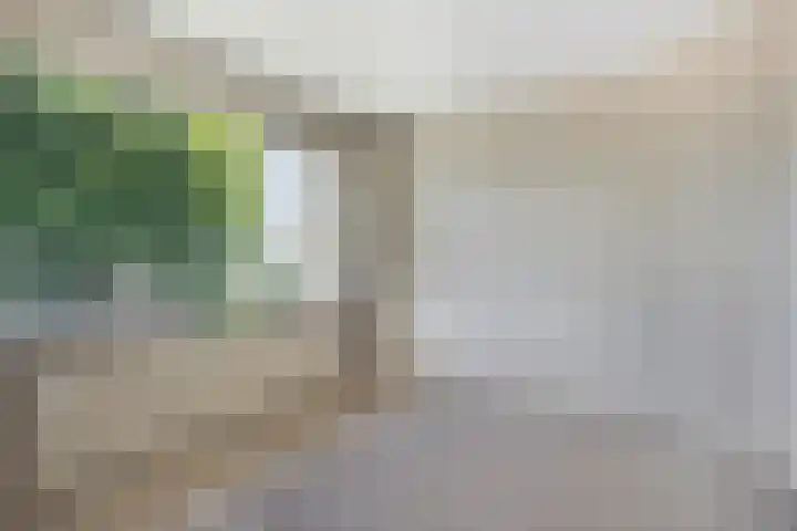 Irenestraat 20 Mierlo thumbnail 15