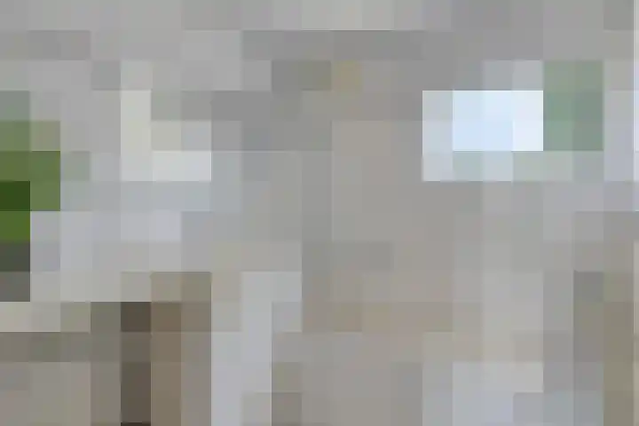 Irenestraat 20 Mierlo thumbnail 17
