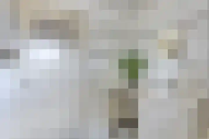 Irenestraat 20 Mierlo thumbnail 18