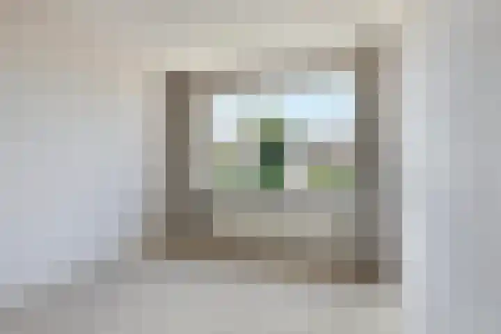 Irenestraat 20 Mierlo thumbnail 19
