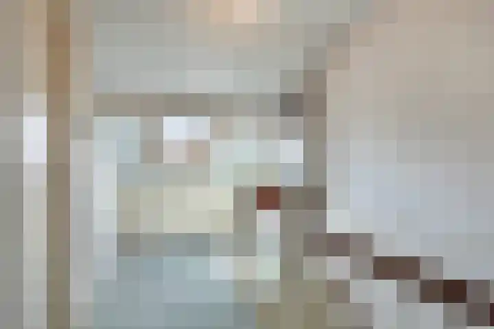 Irenestraat 20 Mierlo thumbnail 21