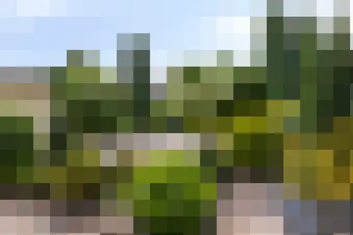 Irenestraat 20 Mierlo thumbnail 24
