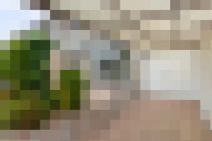 Irenestraat 20 Mierlo thumbnail 25