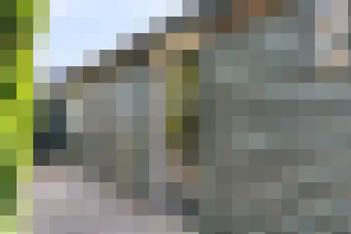 Irenestraat 20 Mierlo thumbnail 26