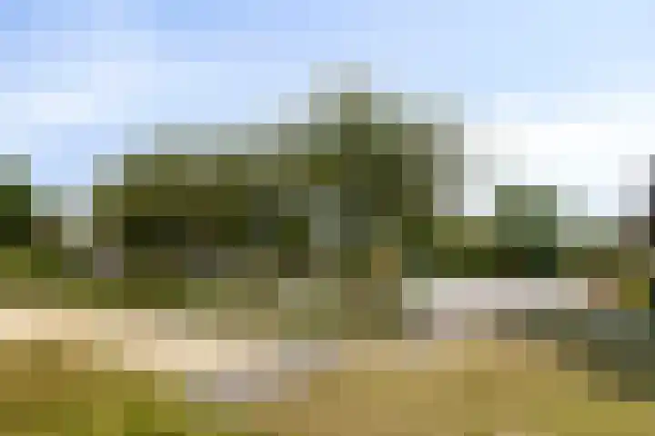 Irenestraat 20 Mierlo thumbnail 31