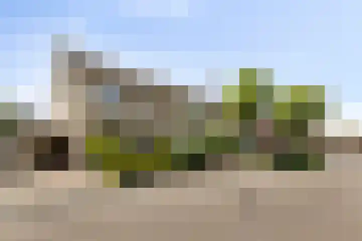 Irenestraat 20 Mierlo thumbnail 6