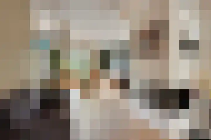 Irenestraat 20 Son en Breugel thumbnail 12