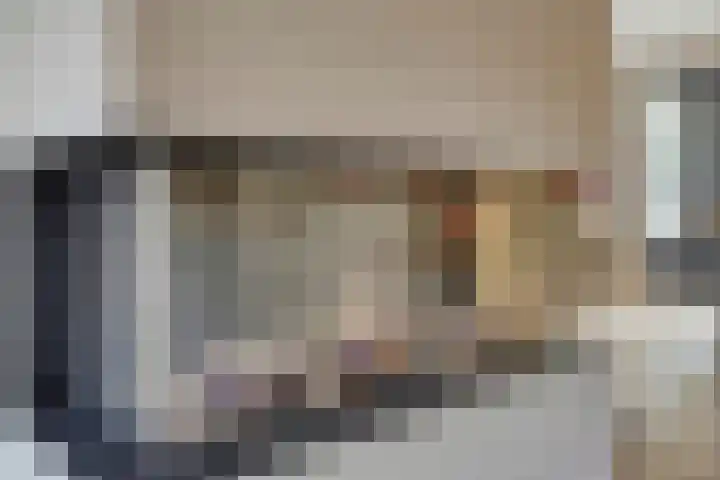 Irenestraat 20 Son en Breugel thumbnail 13