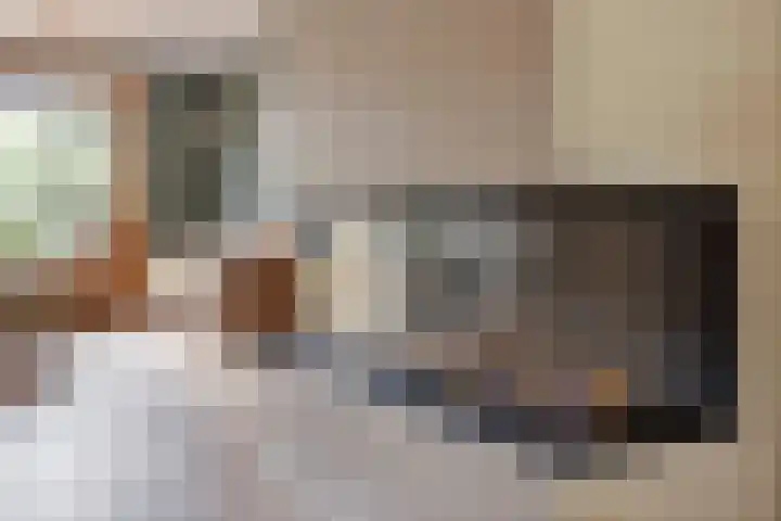 Irenestraat 20 Son en Breugel thumbnail 14
